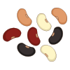 bean