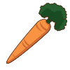 carrot